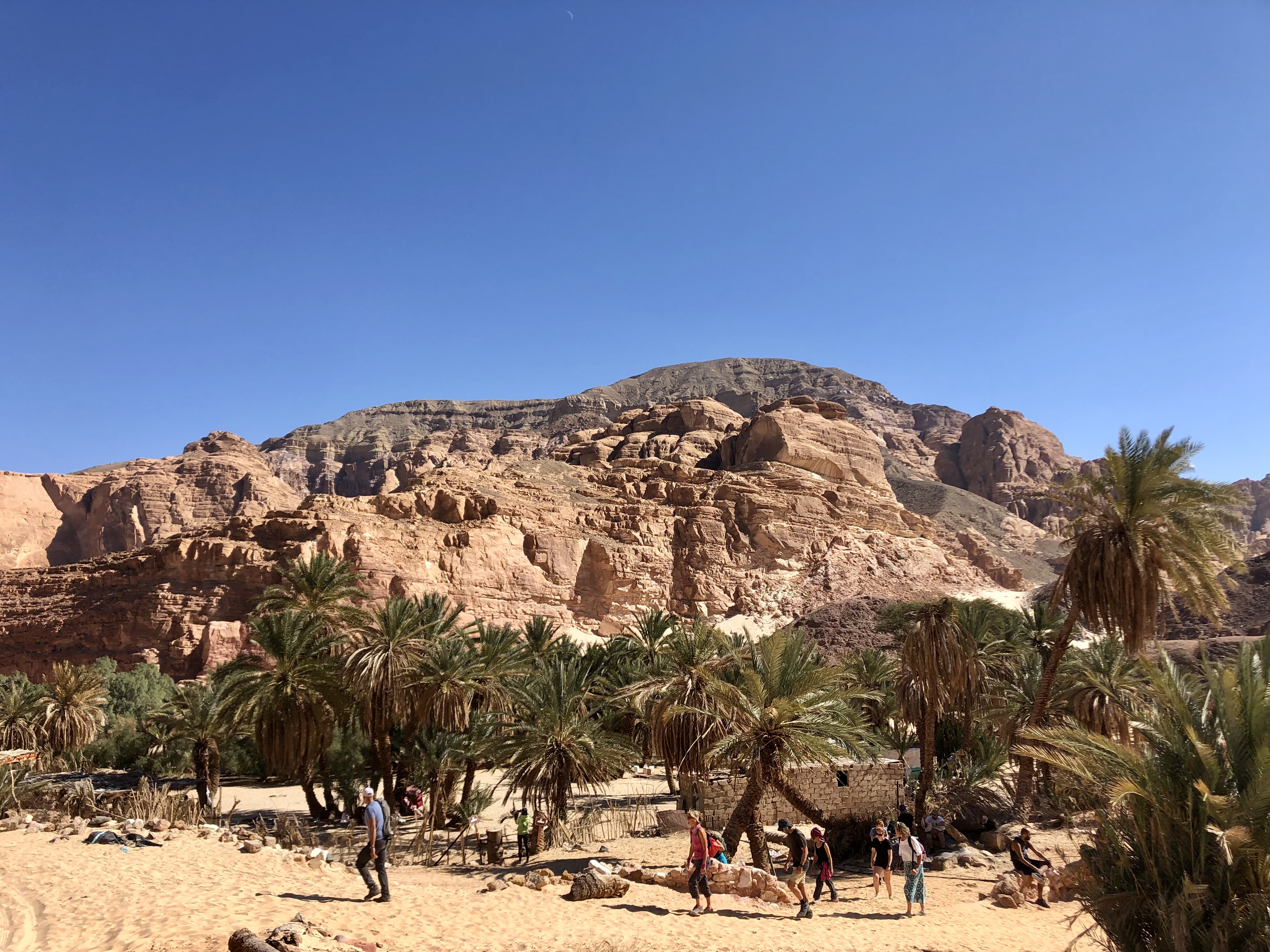 Séjour Randonnées dans le Sinaï